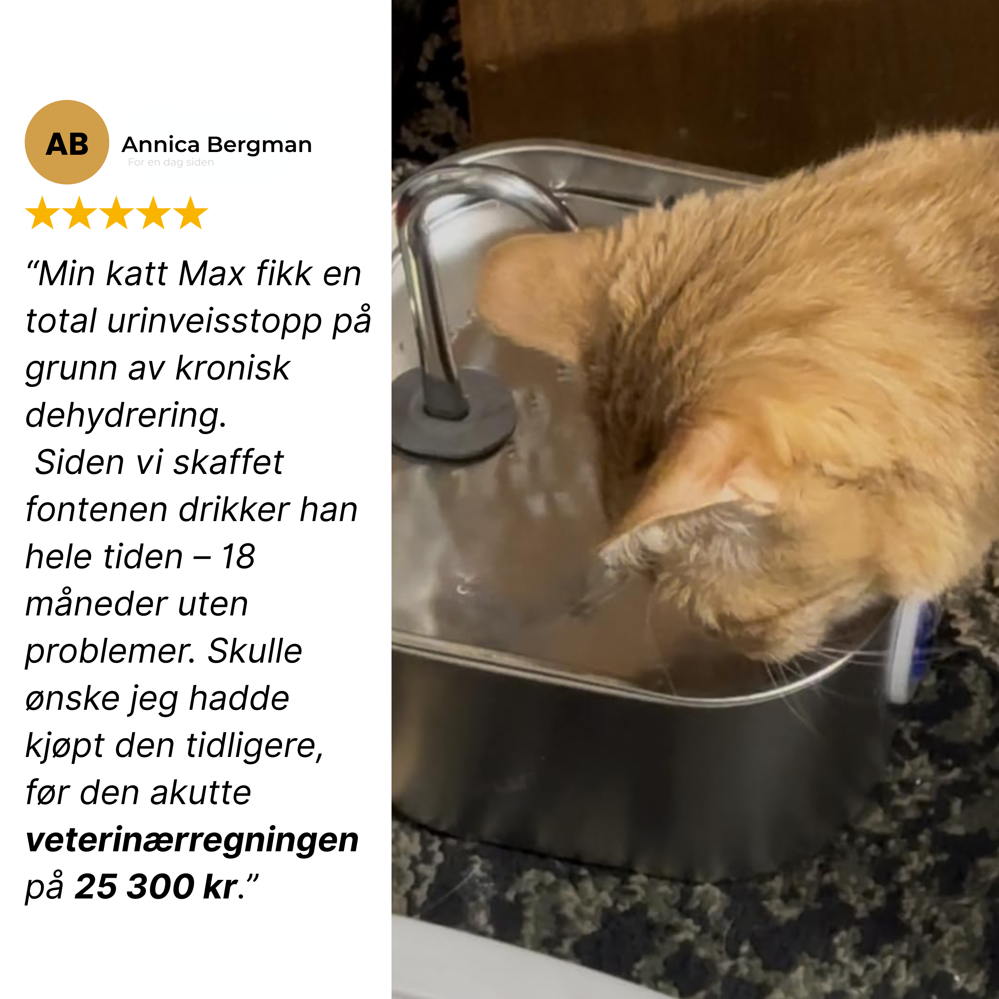 Kattellas Vannfontene i Rustfritt Stål