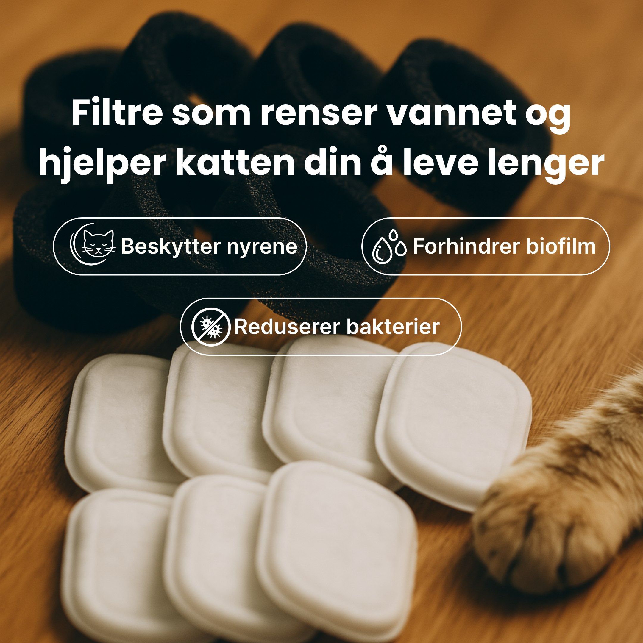 Kattellas Vannfontene i Rustfritt Stål