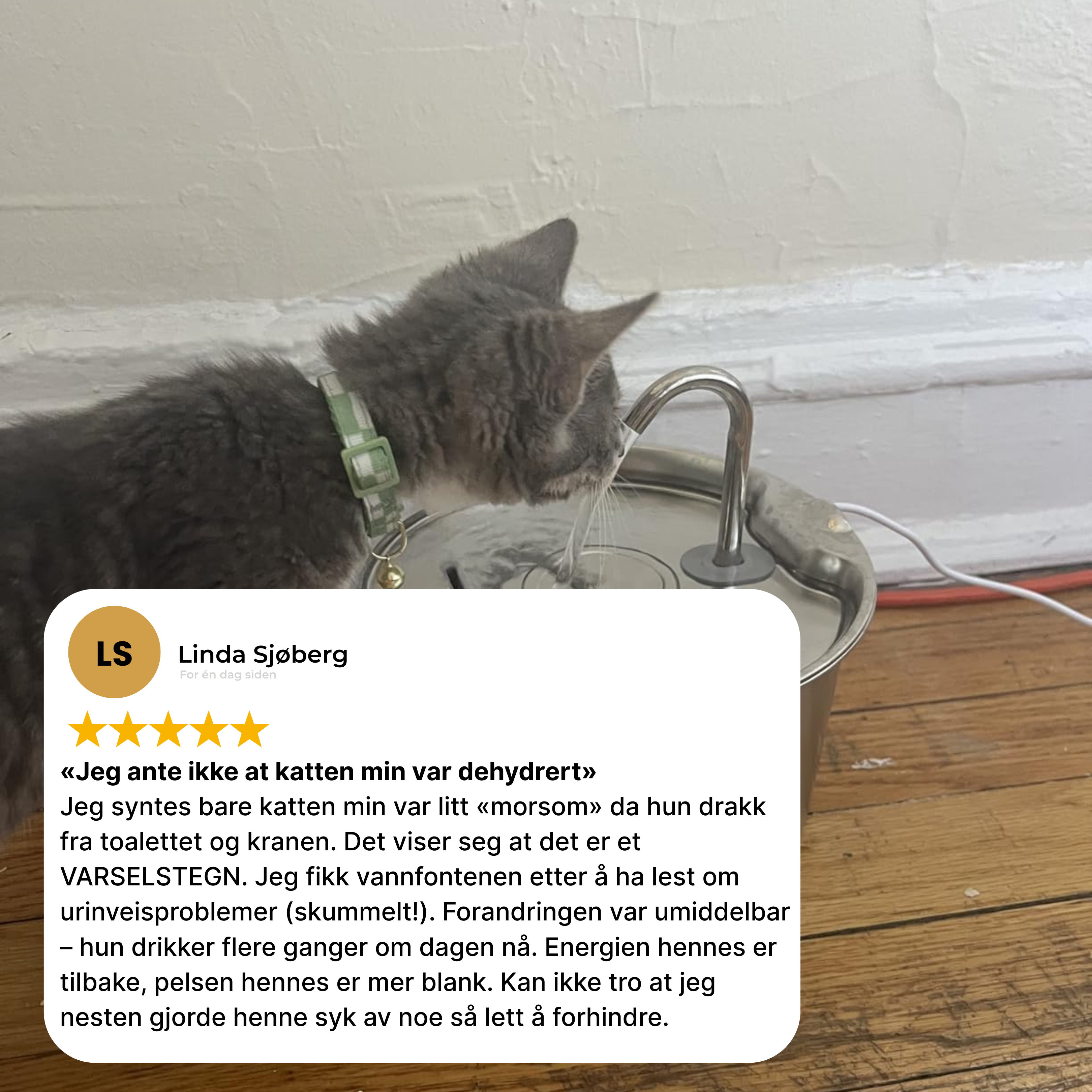 Kattellas Vannfontene i Rustfritt Stål