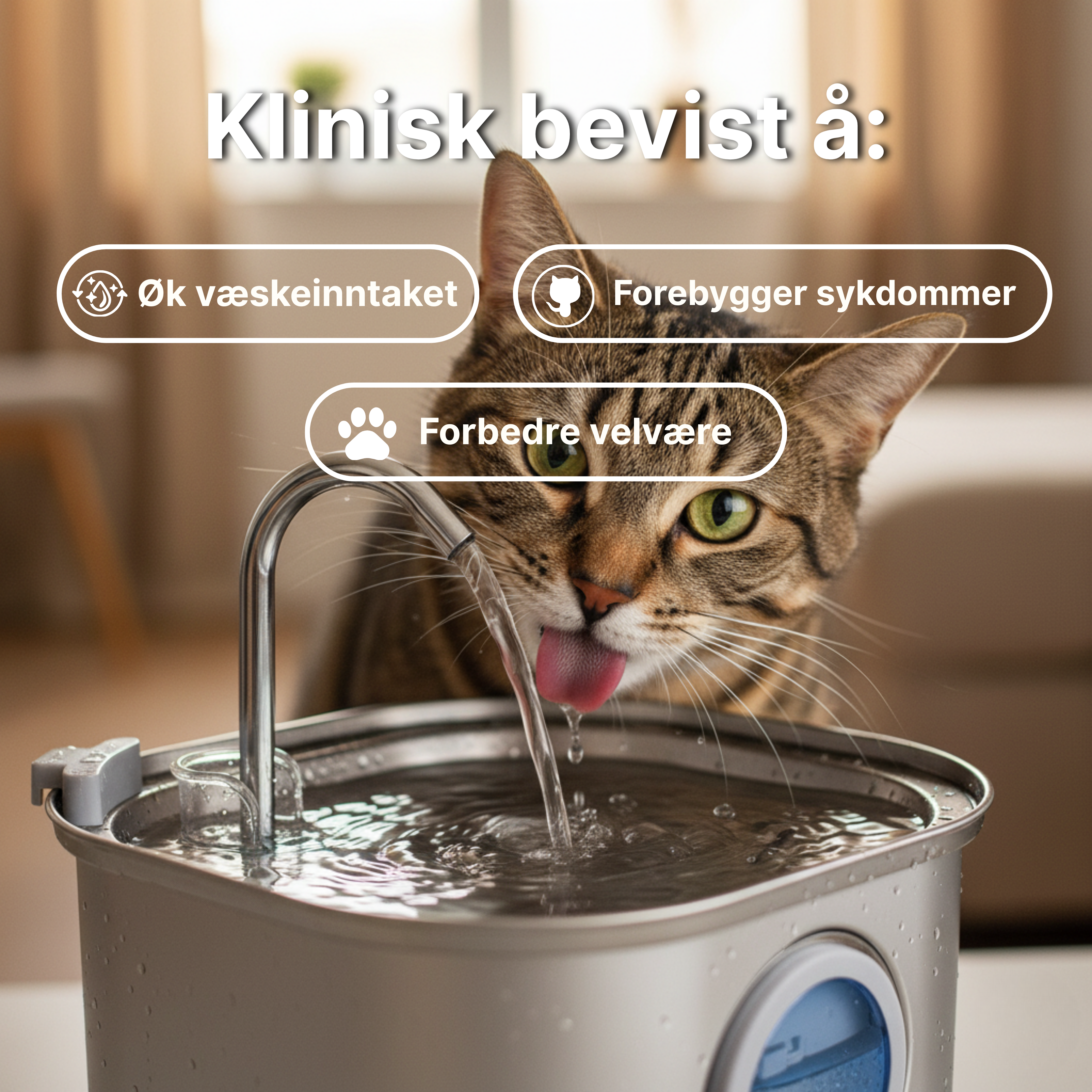 Kattellas Vannfontene i Rustfritt Stål